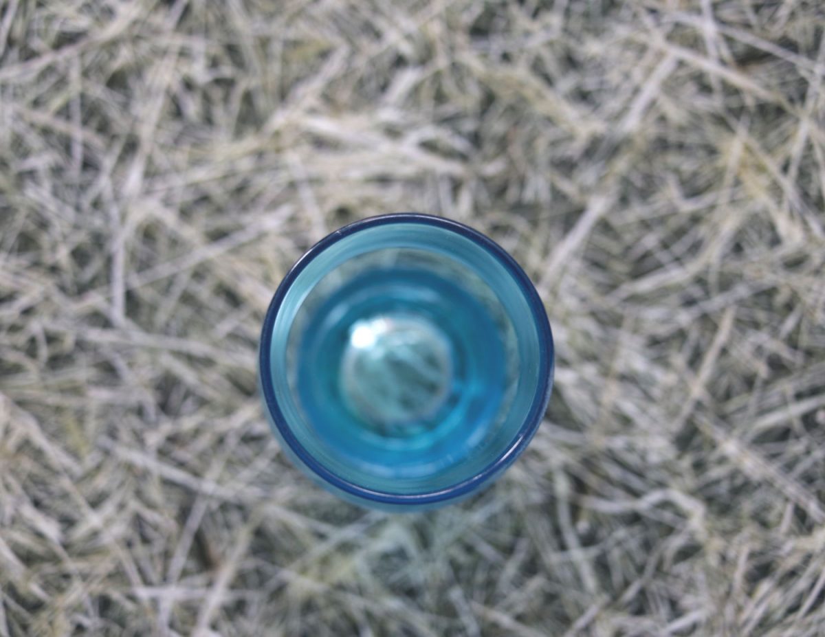 Miesmuscheln in Ingwer-Safran-Sahne – Goccus – der Geniessertempel