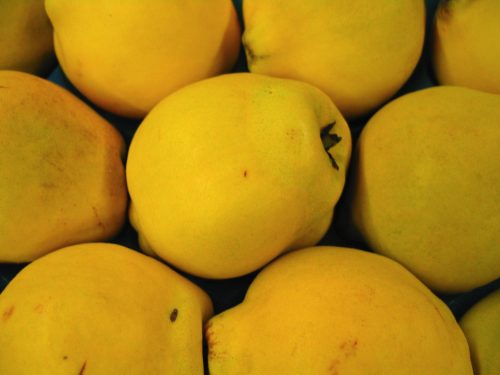 Pannekoeken – Holländische Pfannkuchen – Goccus – der Geniessertempel