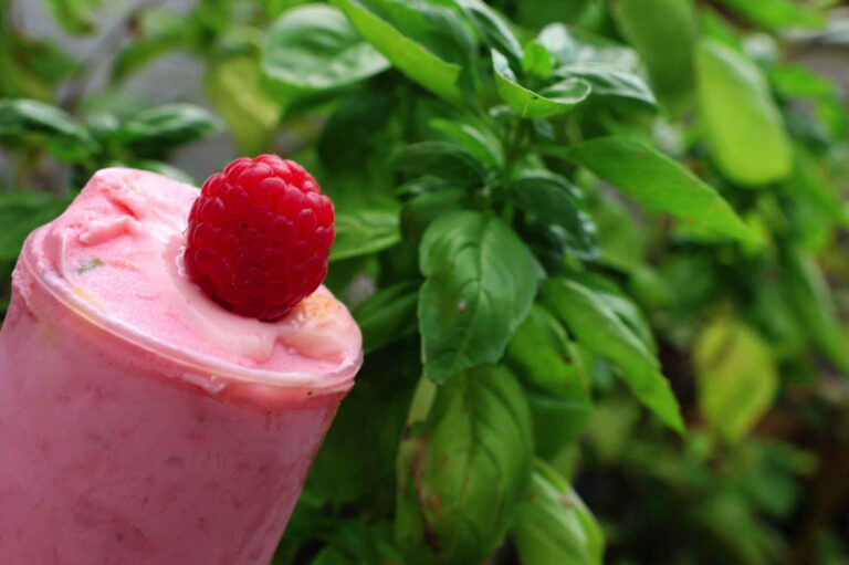 Himbeereis in der Pop-Up-Form mit Himbeere